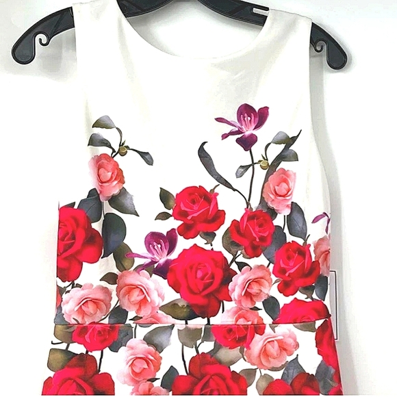 Brand New Floral Sleeveless Dress - Red and Pink Size 8 - Picture 3 of 12
